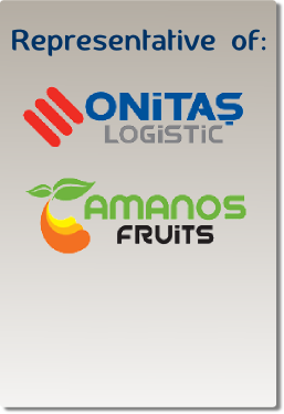 onitas logistic